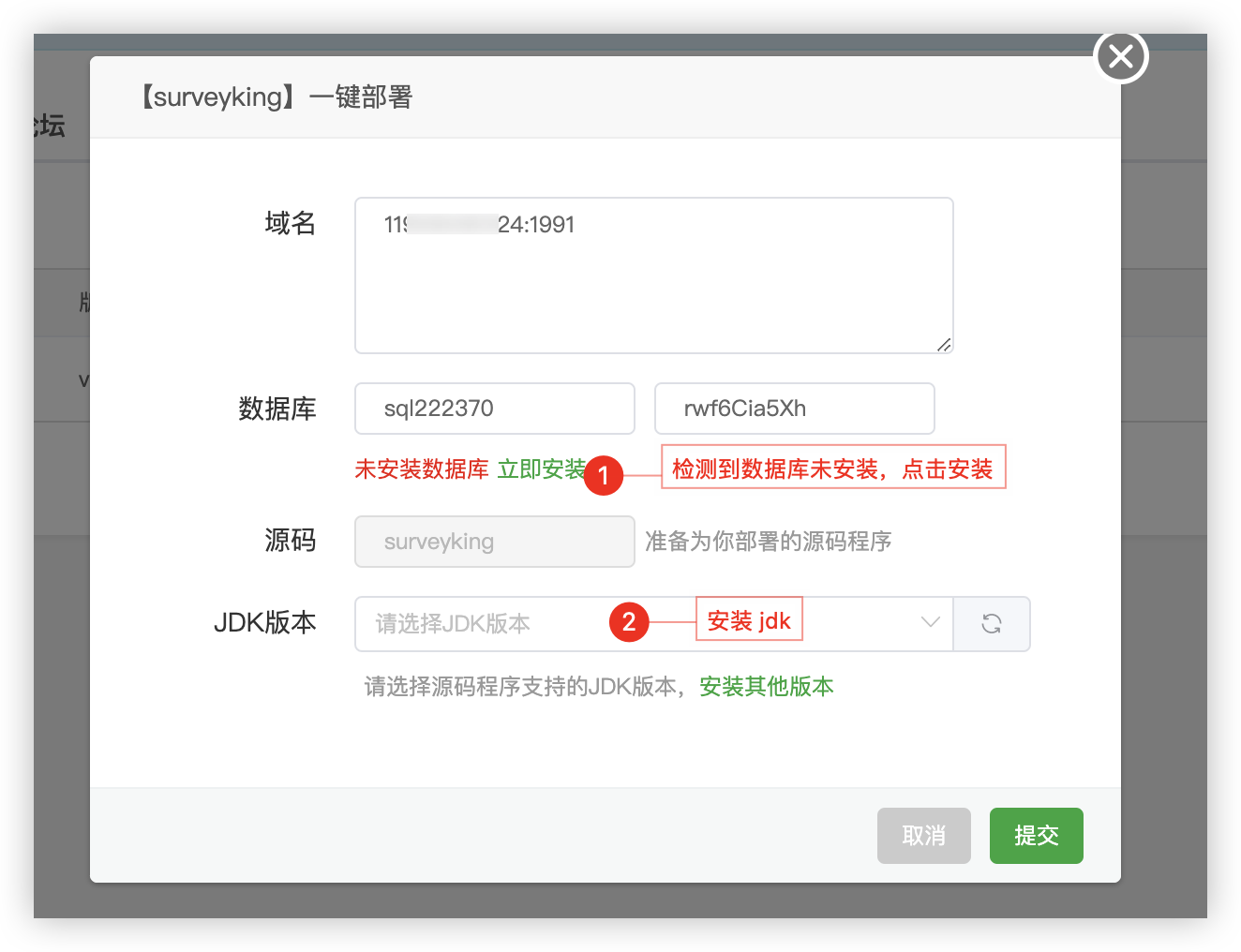 aaPanel Check Runtime Environment